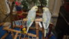 DSCF9730.JPG