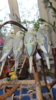DSCF9762.JPG