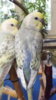 DSCF9763.JPG