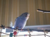 _5080022@0,25x.jpg