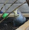 IMG_8384.JPG