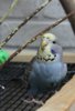 IMG_8387.JPG