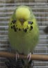 IMG_8434.JPG