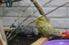 IMG_8379.JPG