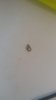 20180529_180821.jpg