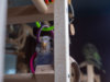 _5170093@0,25x.jpg