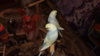 DSCF9798.JPG