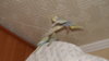 DSCF9802.JPG