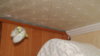 DSCF9816.JPG