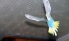 DSCF9825.JPG