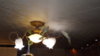 DSCF9828.JPG