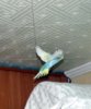 DSCF9829.JPG