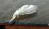 DSCF9844.JPG