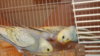 DSCF9848.JPG