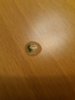20180531_231405.jpg