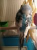 IMG_20180602_010123_017.jpg