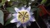 DSCF9925.JPG