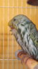 DSCF9975.JPG