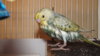 DSCF9983.JPG