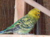 DSCN1974.JPG
