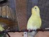 DSCN1898.JPG