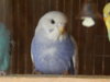 DSCN1929.JPG