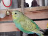 DSCN1951.JPG