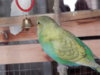 DSCN1957.JPG