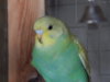 DSCN1960.JPG