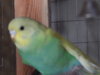 DSCN1968.JPG