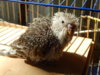 DSCN1987.JPG