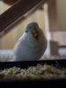 _5240340@0,25x.jpg