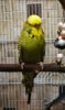 IMG_20180531_132646.jpg