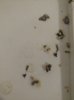 IMG_20180603_201121_128.jpg