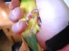 DSCN9658.JPG