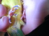DSCN9659.JPG