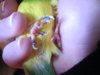 DSCN9660.JPG