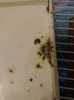 IMG_20180604_205337_621.jpg