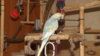 DSCF0261.JPG