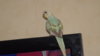 DSCF0304.JPG