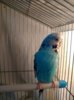 IMG_20180606_125225_915.jpg