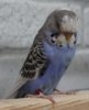 IMG_8739.JPG