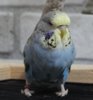 IMG_8753.JPG