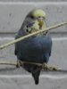 IMG_8642.JPG