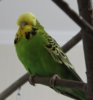 IMG_8594.JPG