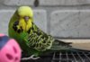 IMG_8623.JPG