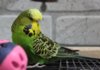 IMG_8622.JPG
