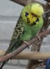 IMG_8636.JPG
