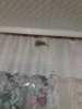 20180610_223442.jpg