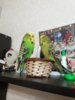 20180610_223428.jpg